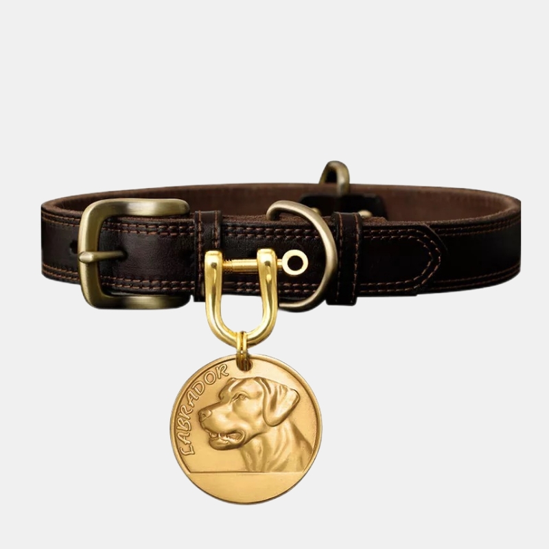 Leather Dog Collar Custom Dog Tag with Name and Phone Number