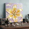 Lily DIY Pearl Painting Kit with Frame 30x30cm Pearl Gem Paintings Picture Arts Craft for Adults/Beginners Gift Home Wall Decor