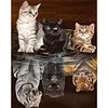 Fierce Gentle-Paint by Numbers Acrylic Painting 40*50CM