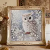 Owl-Partial Special Shaped Diamond Painting 30*30CM
