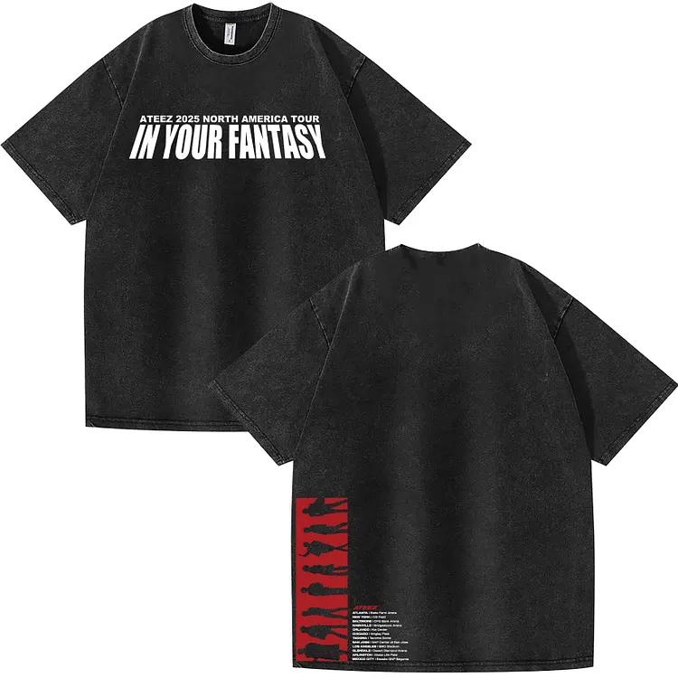 2025 ATEEZ In Your Fantasy World Tour North America Washed T-Shirt