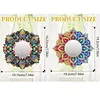 (US Local) DIY Flowers Hanging Mirror Diamond Art Kits Wall Door Decoration