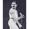 Singer - 11CT Stamped Cross Stitch - 40*50cm