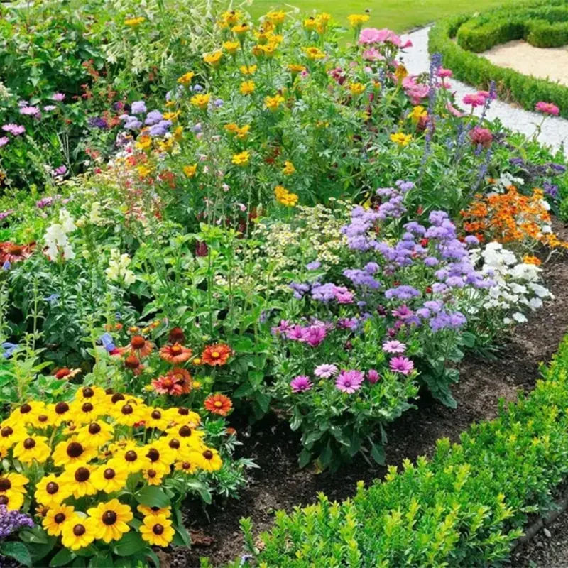 Mixed Perennial Flowers for All Seasons &ndash; 100+ Kinds