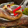 1.5M Foldable Snake Tongs Stainless Steel Reptile Grabber Tool Garbage Clip