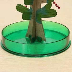 Do-it-yourself magical growing Christmas tree
