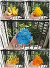 Hollow-Hollow Fruit & Rumble-Rumble Fruit - ONE PIECE Resin Statue - Demon Studios