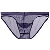 Men's Transparent Mesh Triangle Briefs Underwear See Through Bulge Pouch Underpants Brief