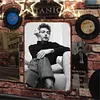 Bob Dylan - Vintage Metal Signs - 20*30cm/30*40cm - Music