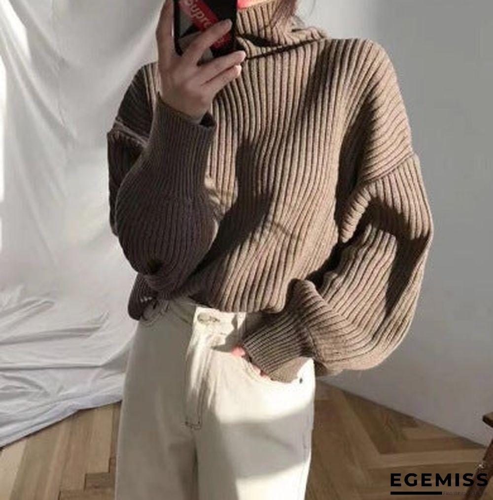 Chic Style Solid Color Turtleneck Lazy Leisure Long Sleeve Sweater | EGEMISS