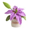 Crochet Flowers Potted Plants Decorative Crochet Ornaments DIY Gifts for Friends
