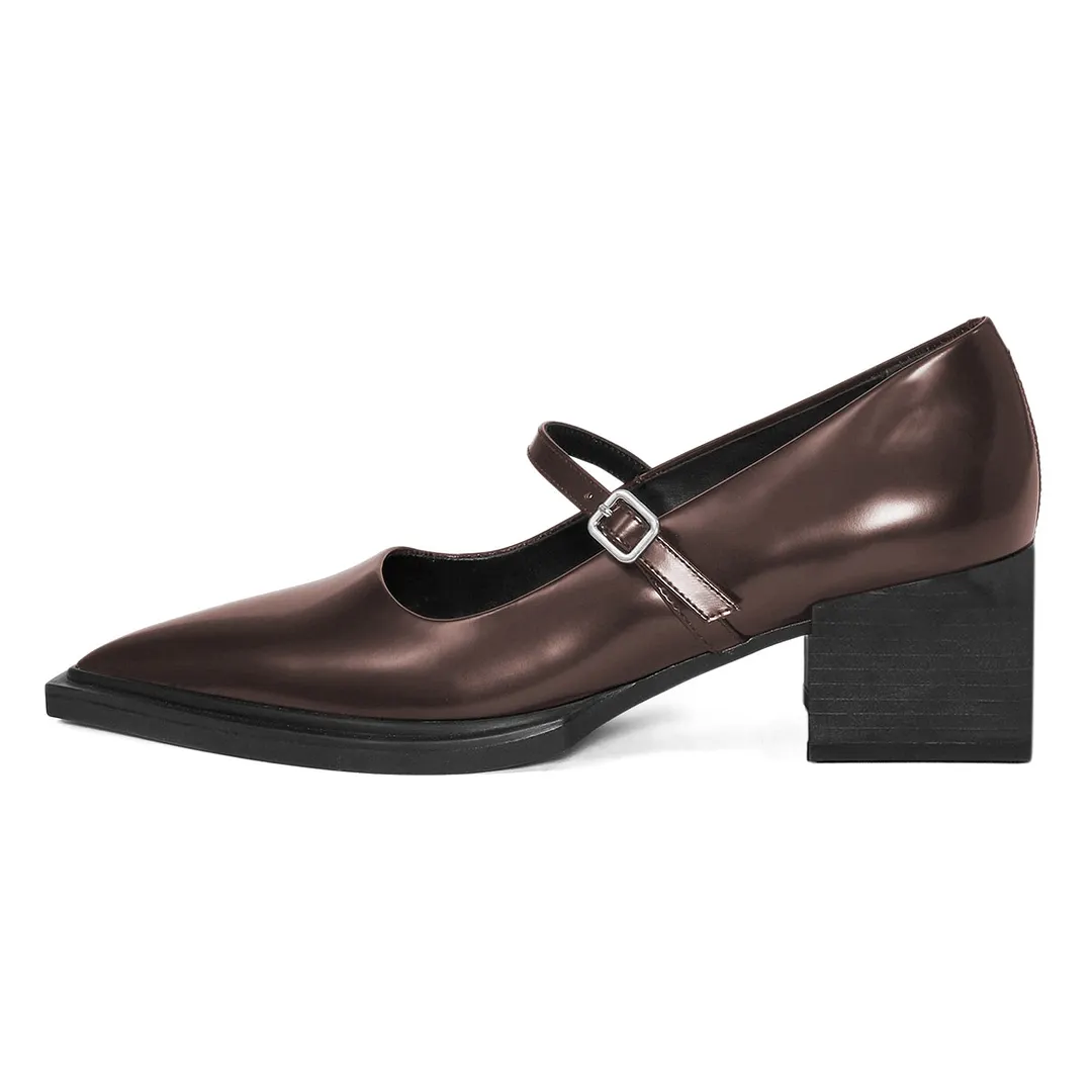 YDN Brown Pointed Toe Buckle Strap Chunky Heel Mary Jane Pumps