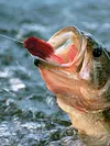 Multi Jointed Swimbait Mouse Fishing Lure Artificial Bait for Pike Bass Fishing