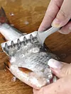 Fish Scaler Stainless Steel Fish Scale Remover Fish Scraper for Kitchen Tool
