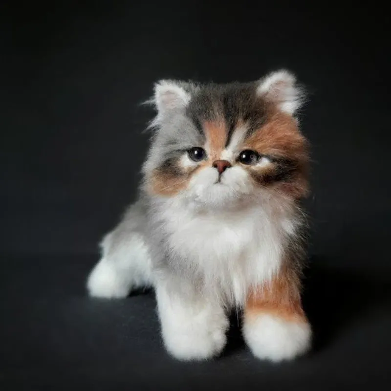 COMPANION PET CAT