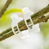 50/100/150 pi&egrave;ces Clips support pour plantes
