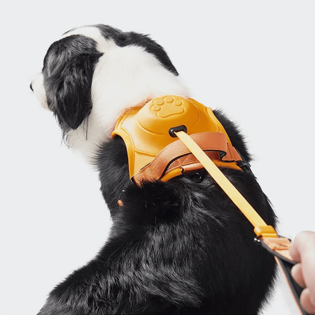 Poochbark&trade; 3 in 1 Dog Harness with Built-In Leash