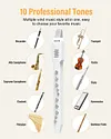  Digital Wind Instrument, Mini Electronic Wind Instrument Set with Removable Nozzle and Rechargeable Battery, Built-in 10 Musical Instrument Tones