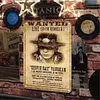 Stevie Ray Vaughan - Vintage Metal Signs - 20*30cm/30*40cm - Music