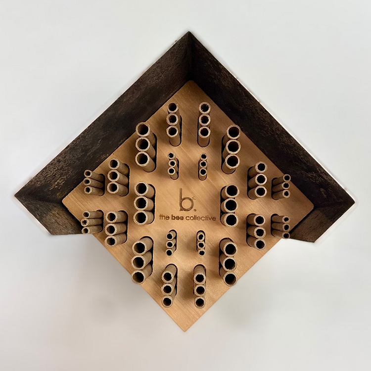 Cedar Wood Native Bee Box Carpenter Bee House 