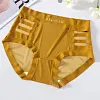 Pearlescent satin paneled mesh briefs
