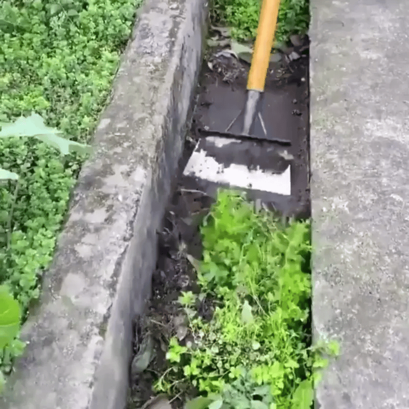 Cleaning Shovel
