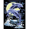 Dolphin - 9CT Partial Beaded Cross Stitch Kit(20x28cm)