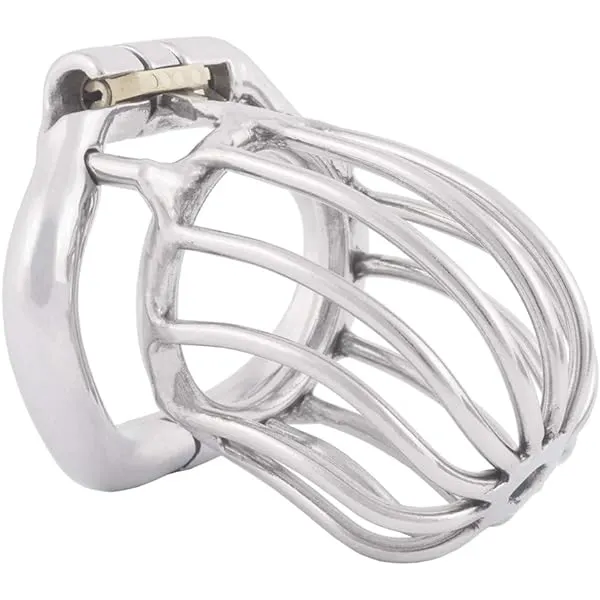 Stainless Steel Chastity Locked Virginity Lock