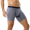 Men's Ice Silk Underwear Sexy Bulge Puch Low Rise See Through Boxer Briefs Thin Cool Boxers Shorts