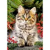 Diamond Painting -DIY Round Drill Cute Cat