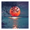 Moon Tree-11CT Stamped Cross Stitch Kit(40*40cm)