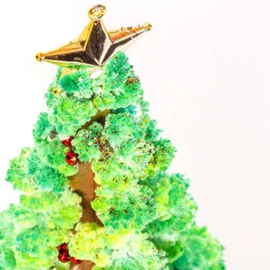Do-it-yourself magical growing Christmas tree