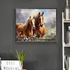 Horse-Paint by Numbers Acrylic Painting 50*40CM