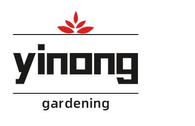 plant Aeonium Echeveria Haworthia  Caudex  Lithops Cactus  Agave 