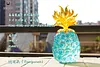 Devil Fruit Series 013 - ONE PIECE Resin Statue - Demon Studios