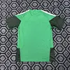 2026/2027 Algeria National Team Training Green No stars Football Shirt 1:1 Thai Quality