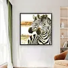 Zebra - 9CT Partial Beaded Cross Stitch Kit(62x62cm)
