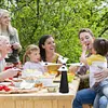 Hexagon Fly Repellent Fan Food Picnic Protector Pest Away Table Fans (A)