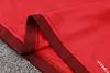 Joyfball 2024/2025 Brazil International Half-Pull Training Suit Red Football Shirt 1:1 Thai Quality