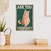 Asian pussy - Vintage Metal Signs - 20*30cm