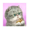 Diamond Painting -DIY Round Drill Cute Funny Cat