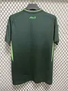 2024/2025 Algeria National Team Away Football Shirt 1:1 Thai Quality