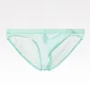Men's Ultra Thin Breathable Mesh Elephant Nose Pouch Triangle Briefs Underwear Hip Coverage Bikini Panties