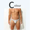 Men's Ultra-Thin Ice Silk U-Convex Pouch Sexy Transparent Mesh Briefs