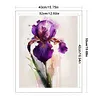 Iris Flower-11CT Stamped Cross Stitch 40*50cm