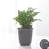 10Pcs Plant Fertilizer Baskets with Lid Orchid Cultivate Park Root Nursery Pots