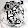 Tiger-Paint by Numbers Acrylic Painting 20*20cm