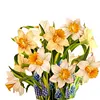 3D Paper Pop Up Flower Bouquet Greeting Card Postcard(Narcissus)