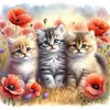 Cat-Partial 11CT Stamped Cross Stitch Bead Embroidery 36*36cm/14.17*14.17in