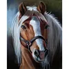 Paint by Numbers Acrylic Painting - Horse 40*50cm